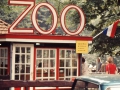 1973-zoo-wassenaar_6130069751_o