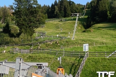Alpsee-Bergwelt-1