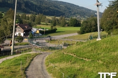Alpsee-Bergwelt-7