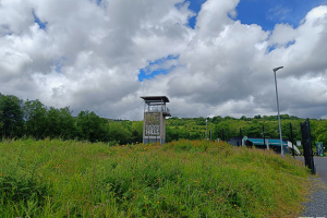 Colin Glen Forest Park - juni 2024