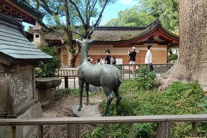 Dazaifu Yuenchi - september 2024