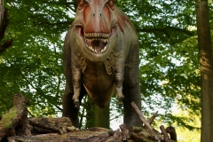 Tyrannosaurus,