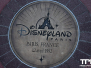 Disneyland Paris - Eindejaarsavond 2023/2024