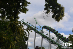 Drayton-Manor-12