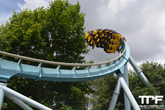 Drayton-Manor-51