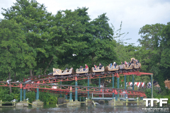 Drayton-Manor-83