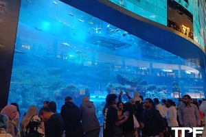 Dubai Aquarium and Underwater Zoo - januari 2023