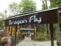 Dragon Fly 1
