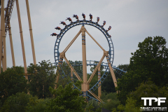 Flamingo-Land-113