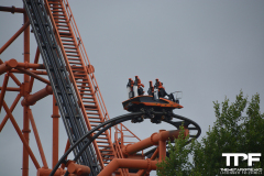 Flamingo-Land-35