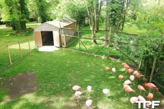 Flamingo-Land-Resort-32