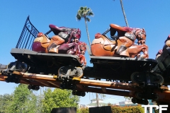 Knotts-Berry-Farm-131