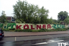 Kölner-Zoo-(1)