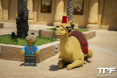 Legoland-72