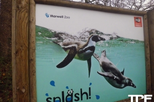 Marwell Zoo - december 2015