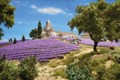 provence-lavendelfeld-abteisenanque-tag-min