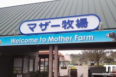 Mother-Farm-2