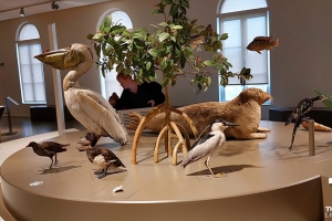 Museum voor Natuurwetenschappen - maart 2023