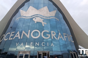 Oceanogràfic - december 2022