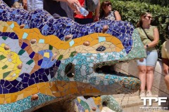 Parc-Guell-41