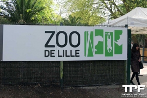 Parc Zoologique de Lille - april 2017