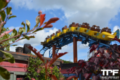 Paultons-121