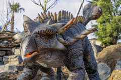 Ankylosaurus