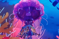 MicroOcean-jellyplunge
