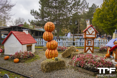 Walibi-4