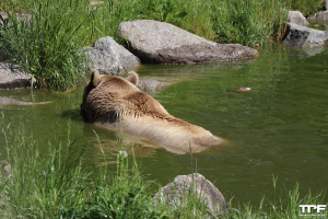 Zoo Amnéville - mei 2024