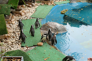 Zoo Aquarium Madrid - november 2023