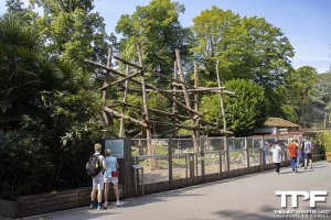 Zoo de Lille - juli 2022