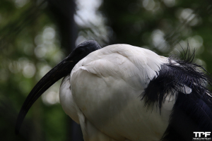 Zoo de Maubeuge - mei 2024