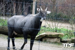 Zoo-Dortmund-24