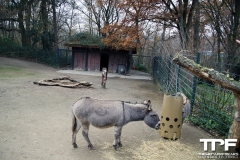 Zoo-Dortmund-40