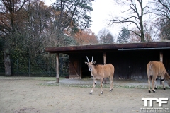 Zoo-Dortmund-54