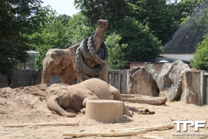 Zoo Krefeld - mei 2022