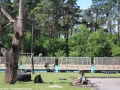 Zoo Safaripark Stukenbrock 07-06-2014 (90)-BorderMaker