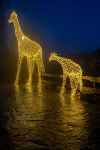 © Pairi Daiza