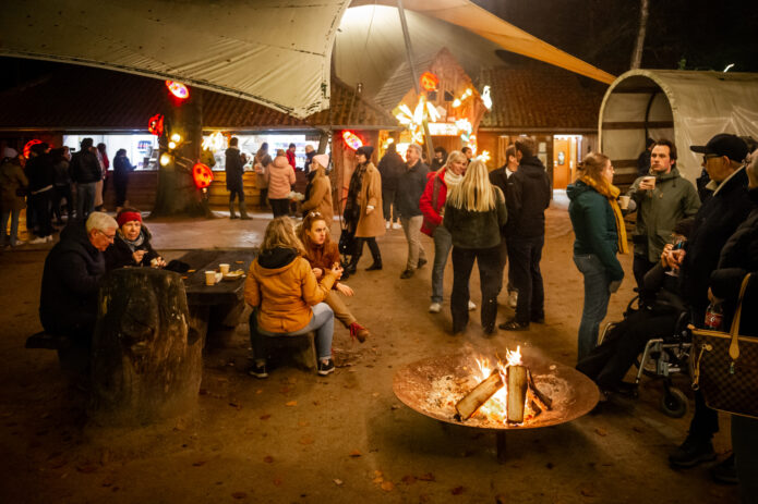 ZOO Planckendael Organiseert Lichtfestival Dragons Of The North ...