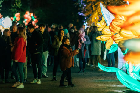 ZOO Planckendael Organiseert Lichtfestival Dragons Of The North ...