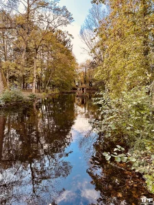 © Wesley van Kuijen